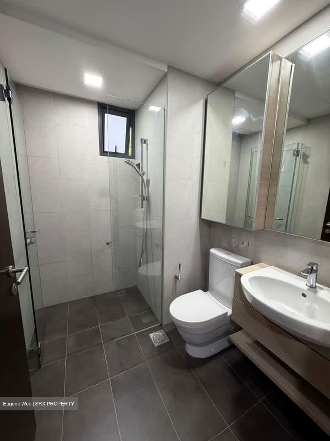 Terrene At Bukit Timah (D21), Condominium #595665451